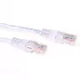 ACT baltas 2 metrų U/UTP CAT6 komutacinis kabelis su RJ45 jungtimis