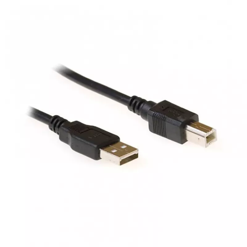 Ewent EC2403 USB laidas USB 2.0 3 m USB A USB B Juodas