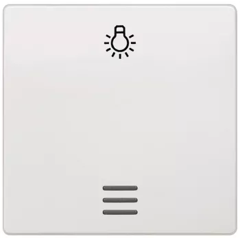 Siemens 5TG6206 sieninė plokštė / jungiklio dangtelis Įvairiaspalvis