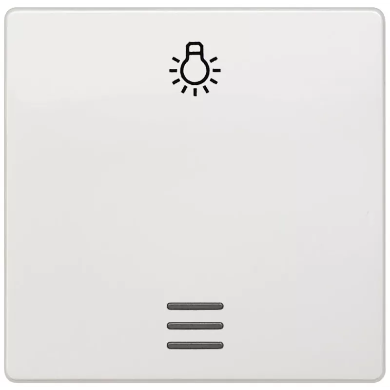 Siemens 5TG6206 sieninė plokštė / jungiklio dangtelis Įvairiaspalvis