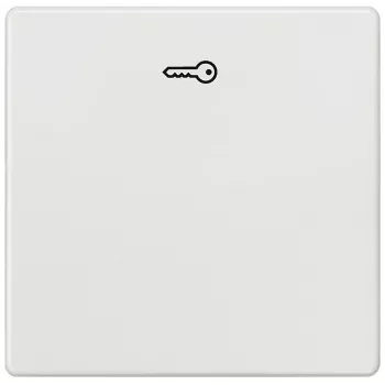 Siemens 5TG6208 sieninė plokštė / jungiklio dangtelis Įvairiaspalvis