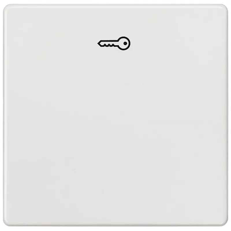 Siemens 5TG6208 sieninė plokštė / jungiklio dangtelis Įvairiaspalvis