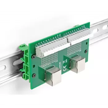 DeLOCK RJ50 2 x female to 2 x Terminal Block su mygtuku DIN bėgeliui