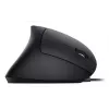 Equip 245118 pelė universali dešiniarankiams USB Type-A optinė 3200 DPI