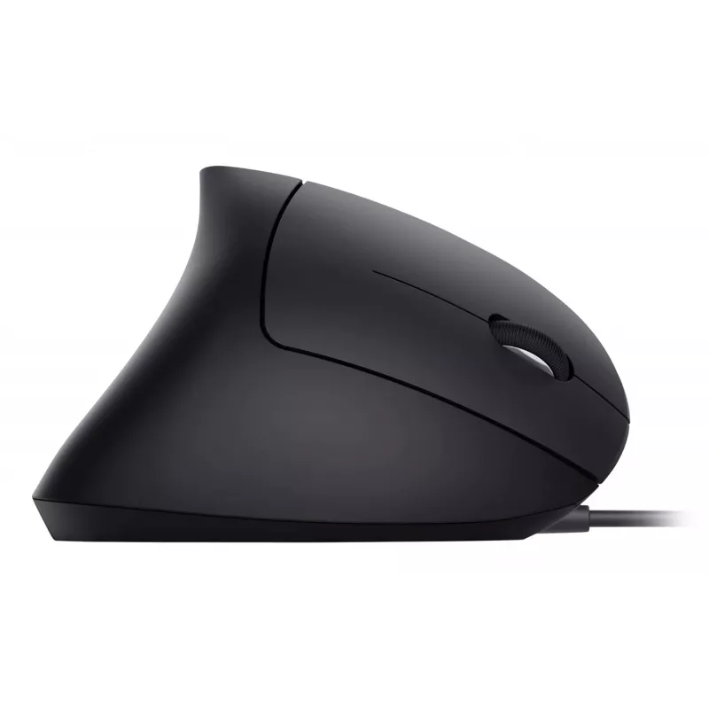 Equip 245118 pelė universali dešiniarankiams USB Type-A optinė 3200 DPI
