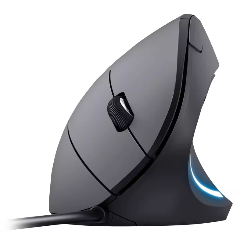 Equip 245118 pelė universali dešiniarankiams USB Type-A optinė 3200 DPI