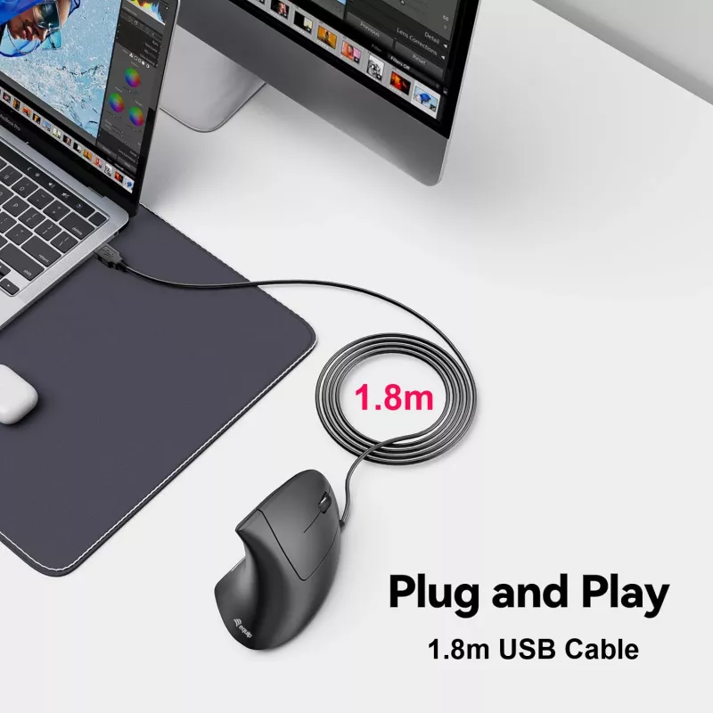 Equip 245118 pelė universali dešiniarankiams USB Type-A optinė 3200 DPI