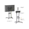 TV vežimėlis EQUIP 37 colių–70 colių Economy 37–70 colių ekranams, 70 kg talpa, VESA 100x100–600x400, aukštis 1337–1430 mm, pasvirimas -10°–5°, juodas
