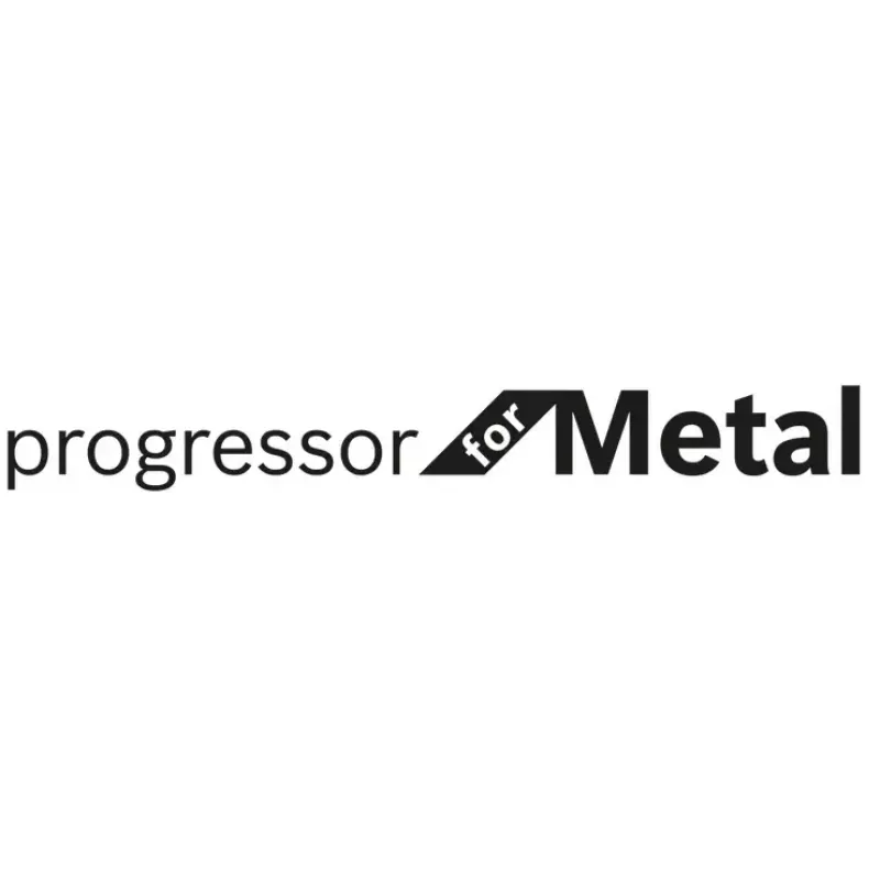 Bosch S 123 XF Progressor for Metal siaurapjūklių geležtės