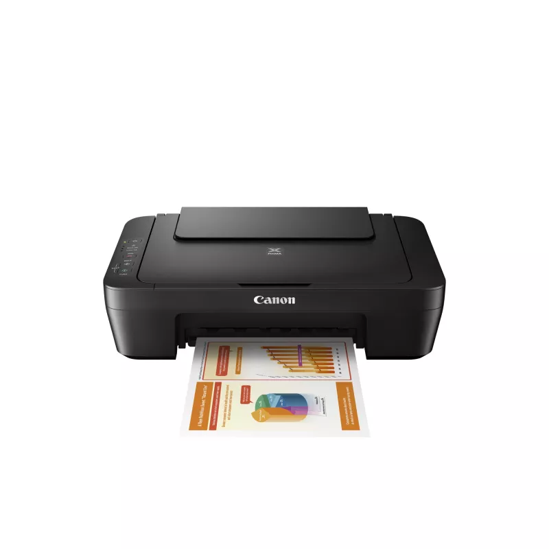 Daugiafunkcis rašalinis spausdintuvas Canon PIXMA MG2555S — A4, 4800 x 600 dpi, 600 x 1200 dpi skaitytuvas, USB, juodas