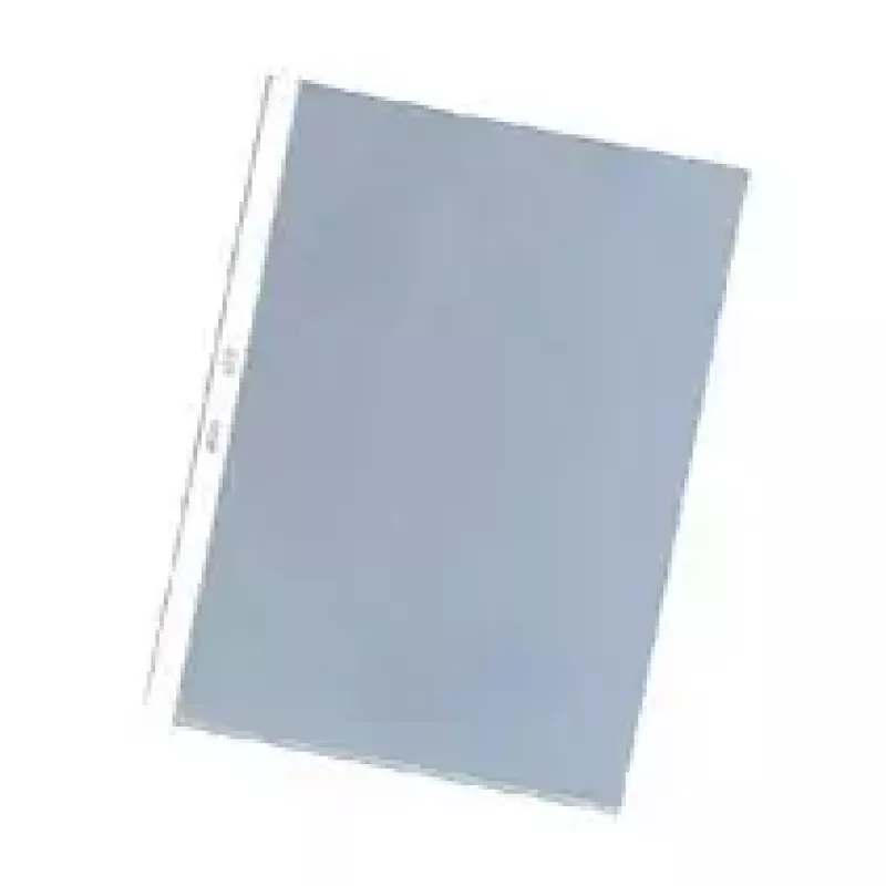 Dokumentų įdėklai Herlitz 05850508 A4