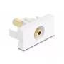 Kištukinis lizdas DeLOCK 90843 2 x 3,5 mm kabelio jungtis balta