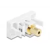 Sieninė rozetė DeLOCK 90841 2 x 3,5 mm kištukas kištukas baltos spalvos