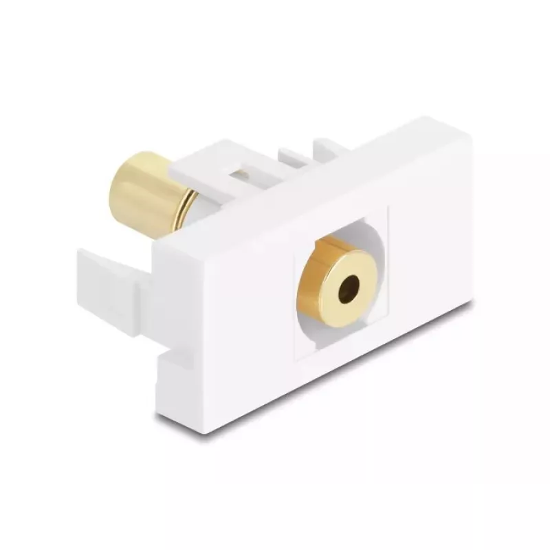 Sieninė rozetė DeLOCK 90841 2 x 3,5 mm kištukas kištukas baltos spalvos