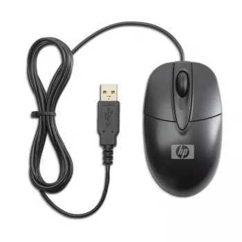 HP RH304AA pelė biuro Abiem rankoms tinkama USB Type-A optinė