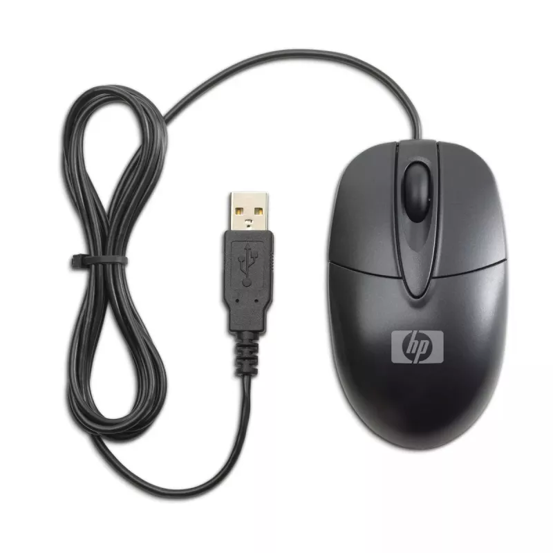 HP RH304AA pelė biuro Abiem rankoms tinkama USB Type-A optinė