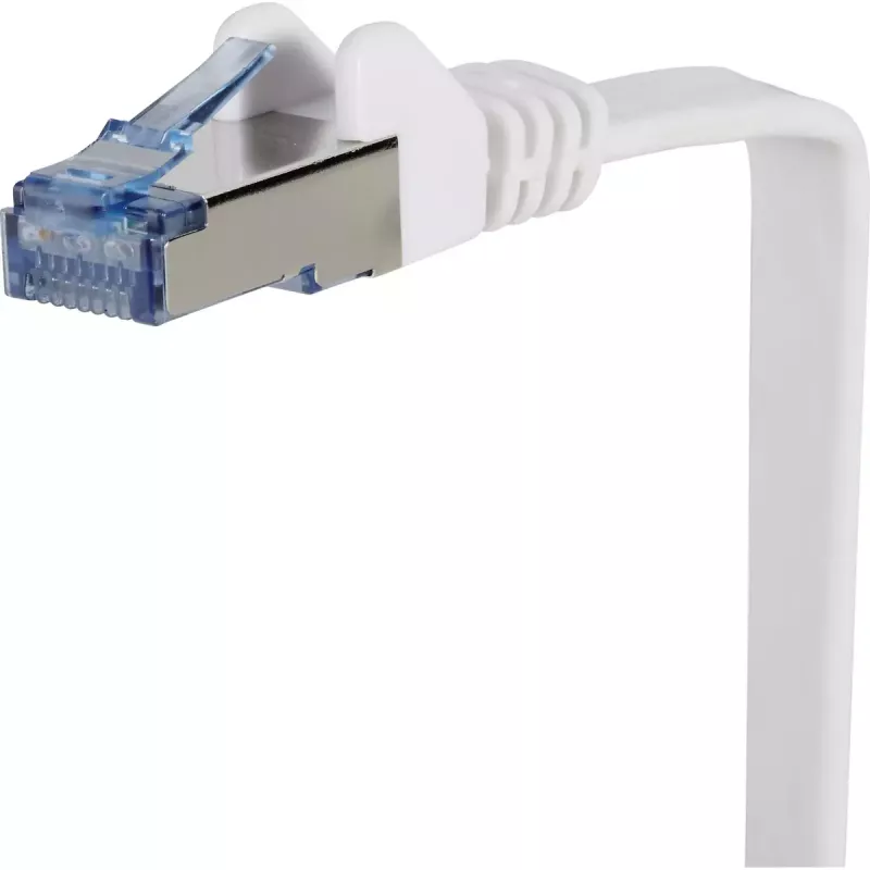Tinklo kabelis Renkforce RF-4149843 3 m Cat6a U/FTP