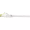 Tinklo kabelis Renkforce RF-4149861 0,5 m Cat6a S/FTP