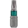 Atsuktuvų antgalis KWB Inox T25 25 mm 1 vnt.