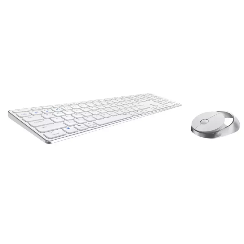 Rapoo 9850M klaviatūra su pele, namų RF belaidė Bluetooth QWERTZ vokiečių balta
