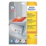 Lipnios etiketės Avery Zweckform 6172 — Stačiakampės, Nuolatinės, Baltos, 600 vnt.
