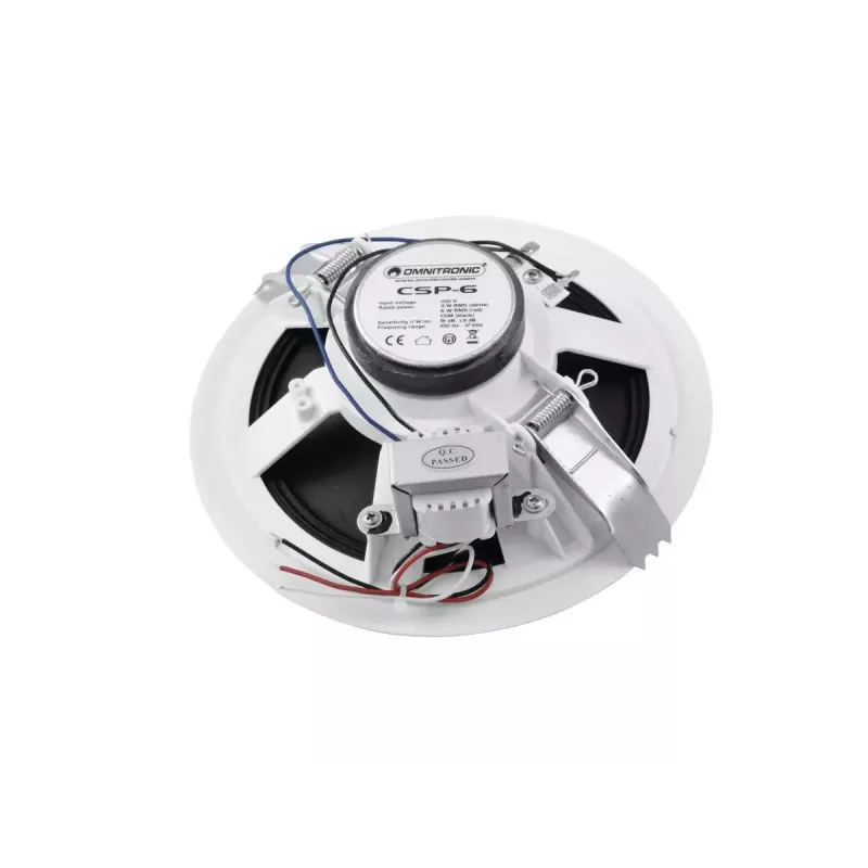 Plačiajuostis garsiakalbis Omnitronic 80710250 baltas laidinis 6 W
