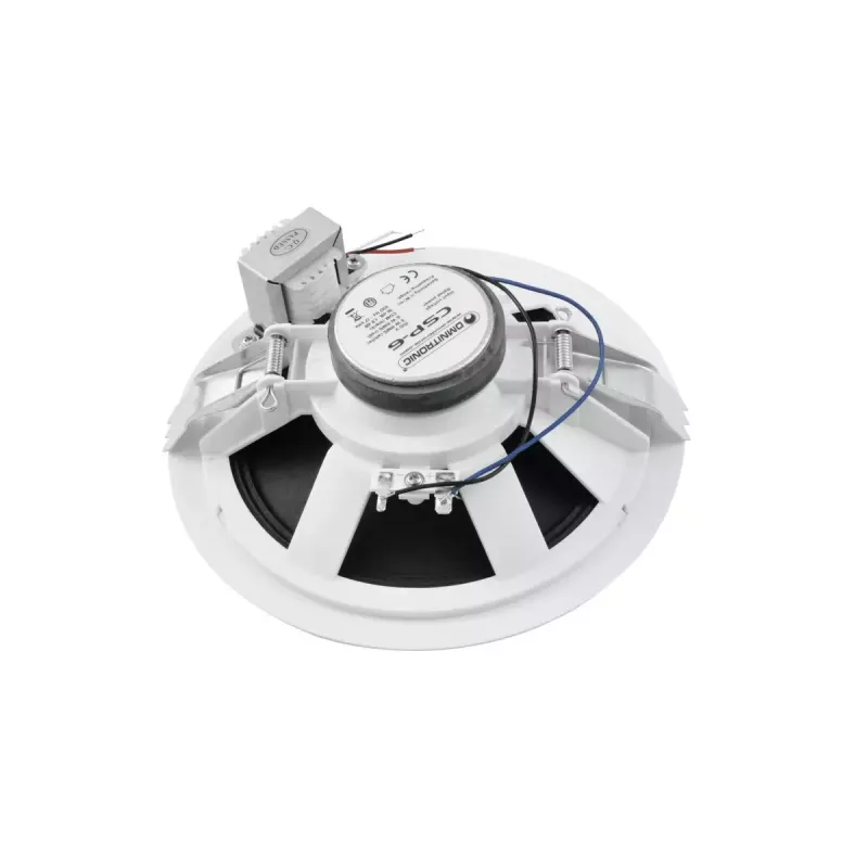Plačiajuostis garsiakalbis Omnitronic 80710250 baltas laidinis 6 W