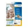 Lipnios etiketės HERMA 10763 nuolatinės rudos 360 vnt. elipsė 63,5x42,3mm