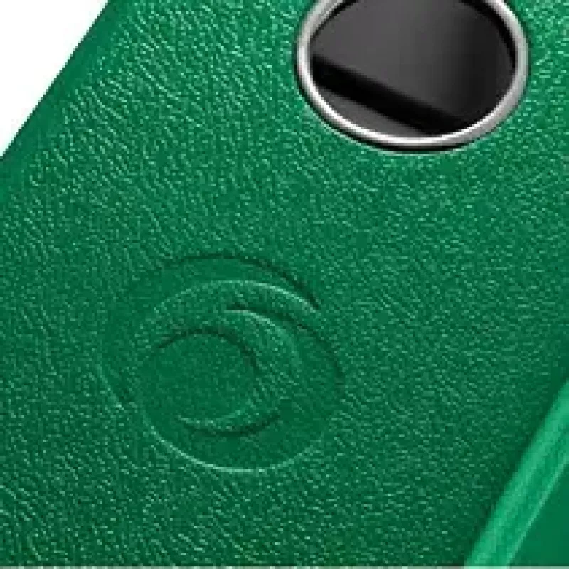 Segtuvas su žiedais Herlitz 05480504 A4 Žalias