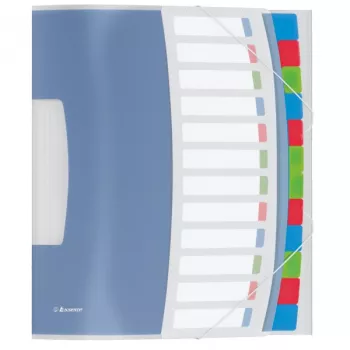 Esselte Divider Book Vivida PP 12 skirtukų, Mėlyna, Daugiaspalvė, Polivinilchloridas (PVC), A4, 266 mm, 20 mm, 320 mm