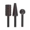 Bosch 2609255302 Rasp