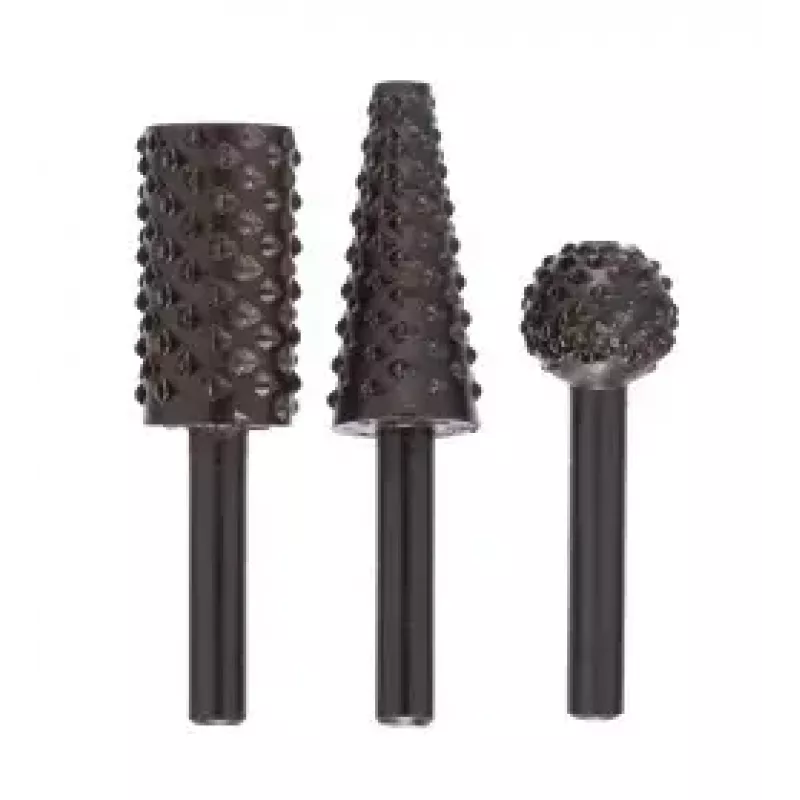 Bosch 2609255302 Rasp