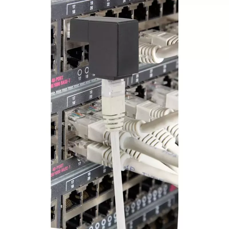 Kabelio lyties adapteris Renkforce RF-4087416
