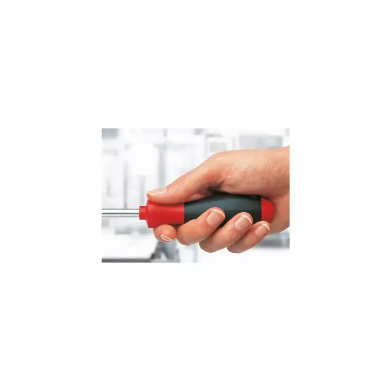 Rankinis atsuktuvas Wiha 00687 Single Standard screwdriver