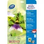 Inkjet Paper Avery Premium A4 250g White Satin-matt