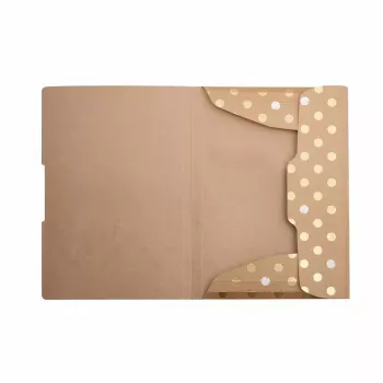 Įprastas dokumentų segtuvas Herlitz Pure Glam Carton Gold A4