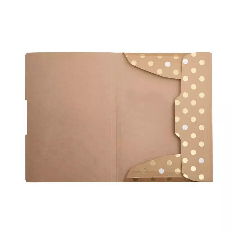 Įprastas dokumentų segtuvas Herlitz Pure Glam Carton Gold A4