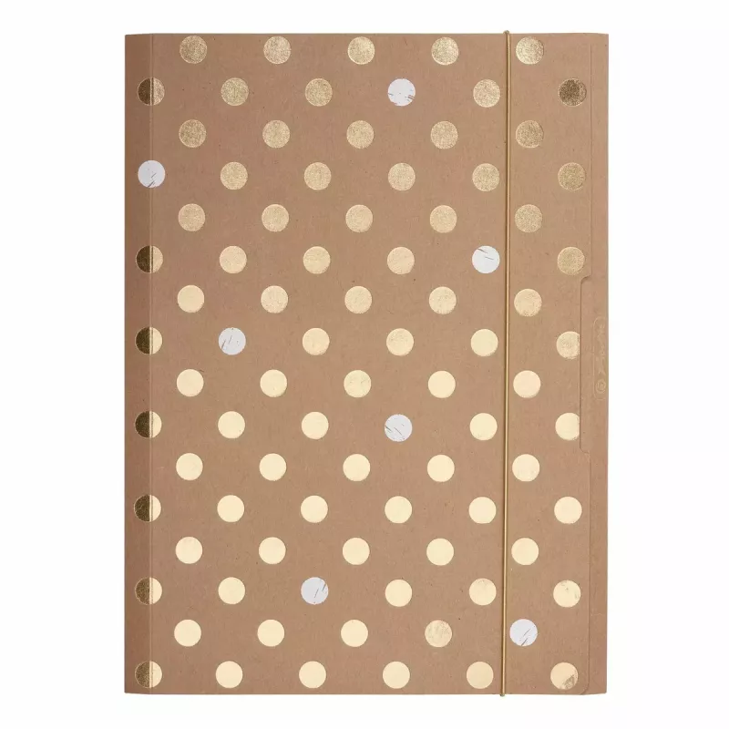 Įprastas dokumentų segtuvas Herlitz Pure Glam Carton Gold A4