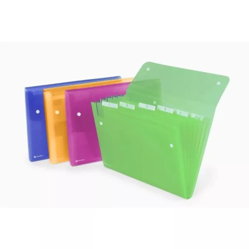 Rexel ICE Expander 6-Pocket Assorted, mėlyna, rožinė, skaidri, turkio, A4, 120 lapų, 6 skyriai