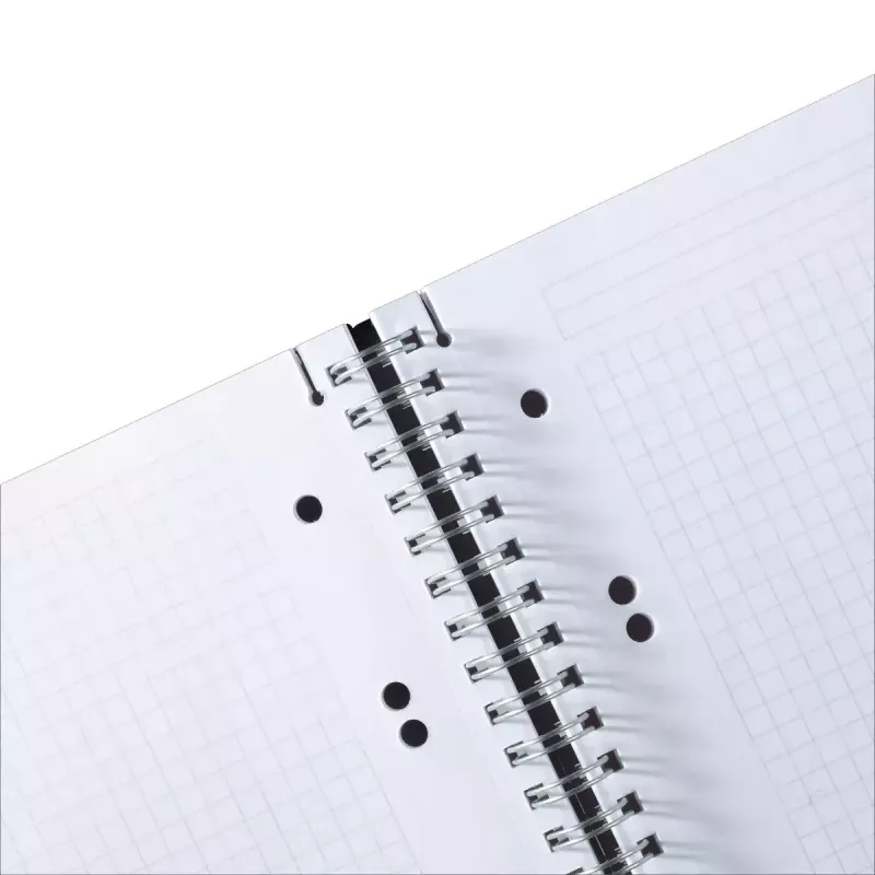 Rašomasis sąsiuvinis Herlitz 11293768 A5 80 lapų įvairiaspalvis