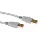 USB 2.0 A kištukas – USB A kištukas, dramblio kaulo spalvos, 2,00 m, ACT SB2502
