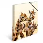 Įprastas dokumentų segtuvas HERMA Giraffe friends Polipropilenas (PP) Įvairiaspalvis A4