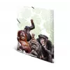 Įprastas aplankas HERMA Monkey gang 19960