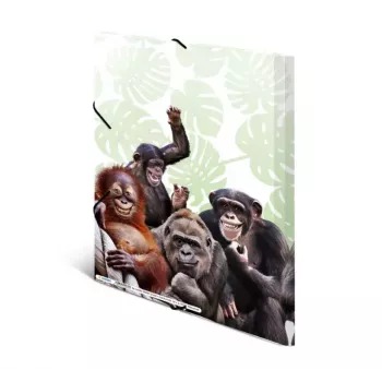 Įprastas aplankas HERMA Monkey gang 19960