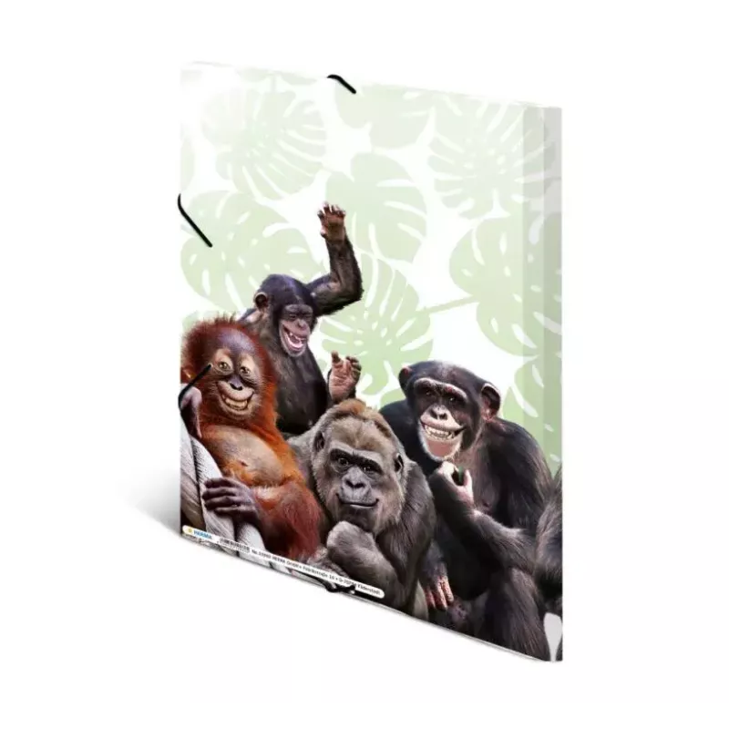 Įprastas aplankas HERMA Monkey gang 19960