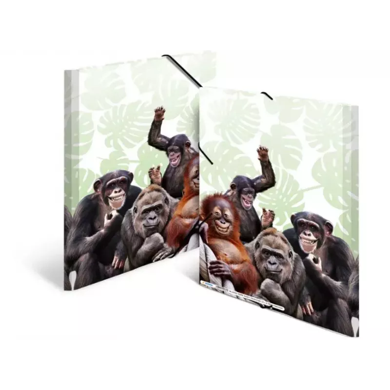 Įprastas aplankas HERMA Monkey gang 19960