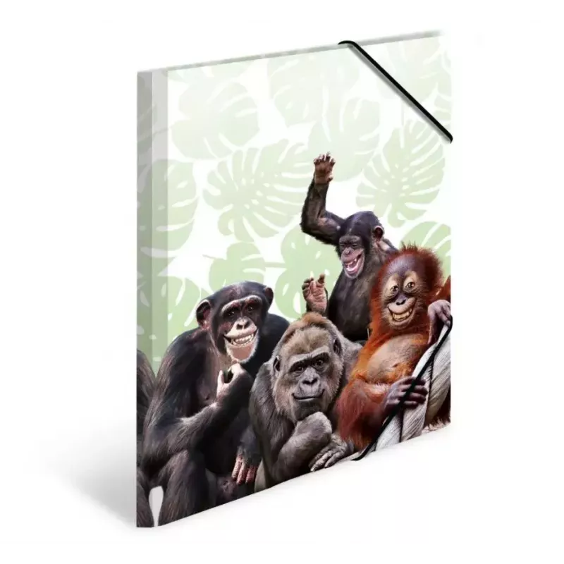 Įprastas aplankas HERMA Monkey gang 19960