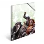 Įprastas aplankas HERMA Monkey gang 19960