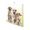 Įprastas dokumentų aplankas HERMA Meerkat troop 19961