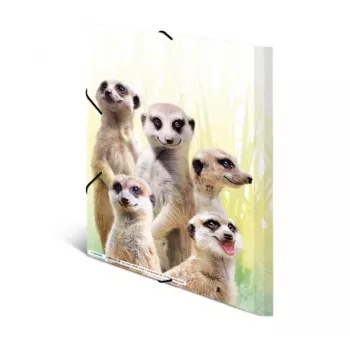 Įprastas dokumentų aplankas HERMA Meerkat troop 19961